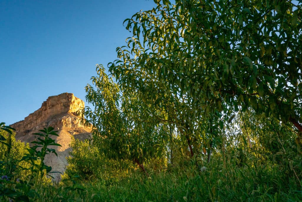 LAND-TRUST-PALISADE-20250908