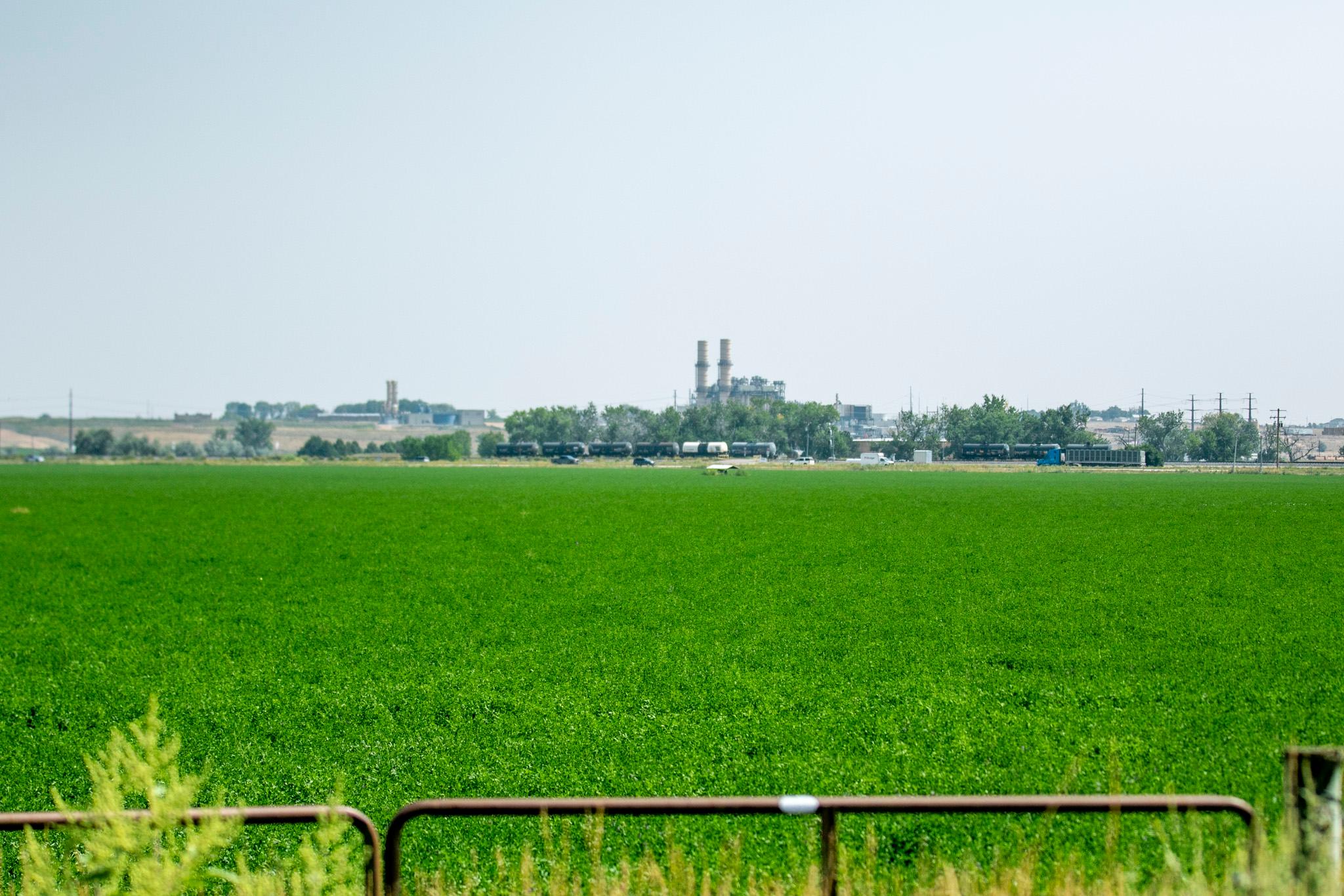 Farmland near Hudson, Colo. Sept. 6, 2025.