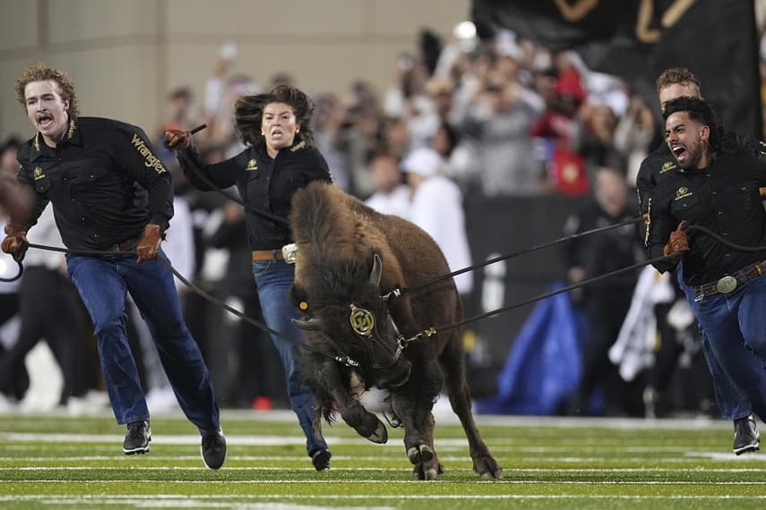 People running on a football field with an American Bison