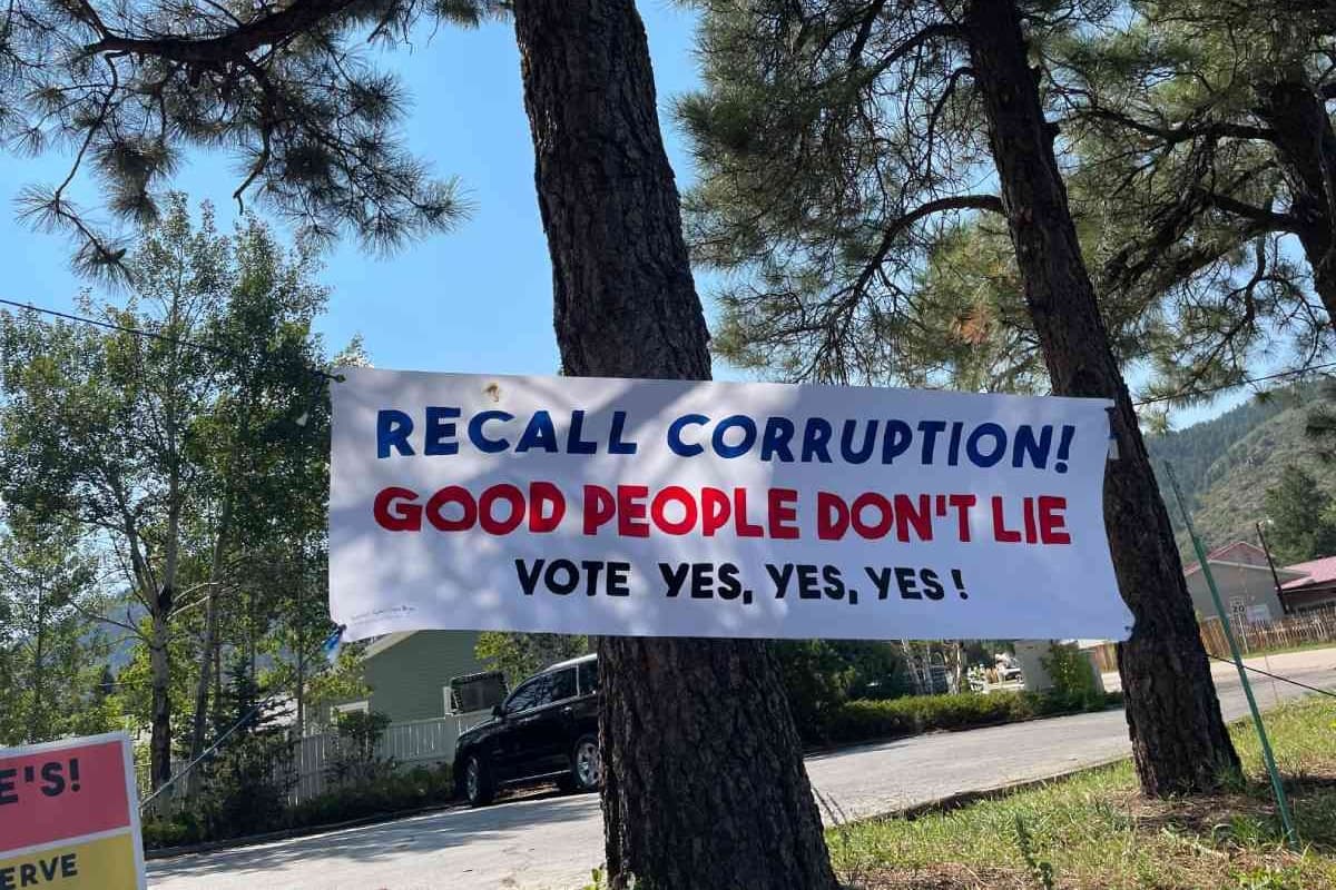 A sign in trees for an election