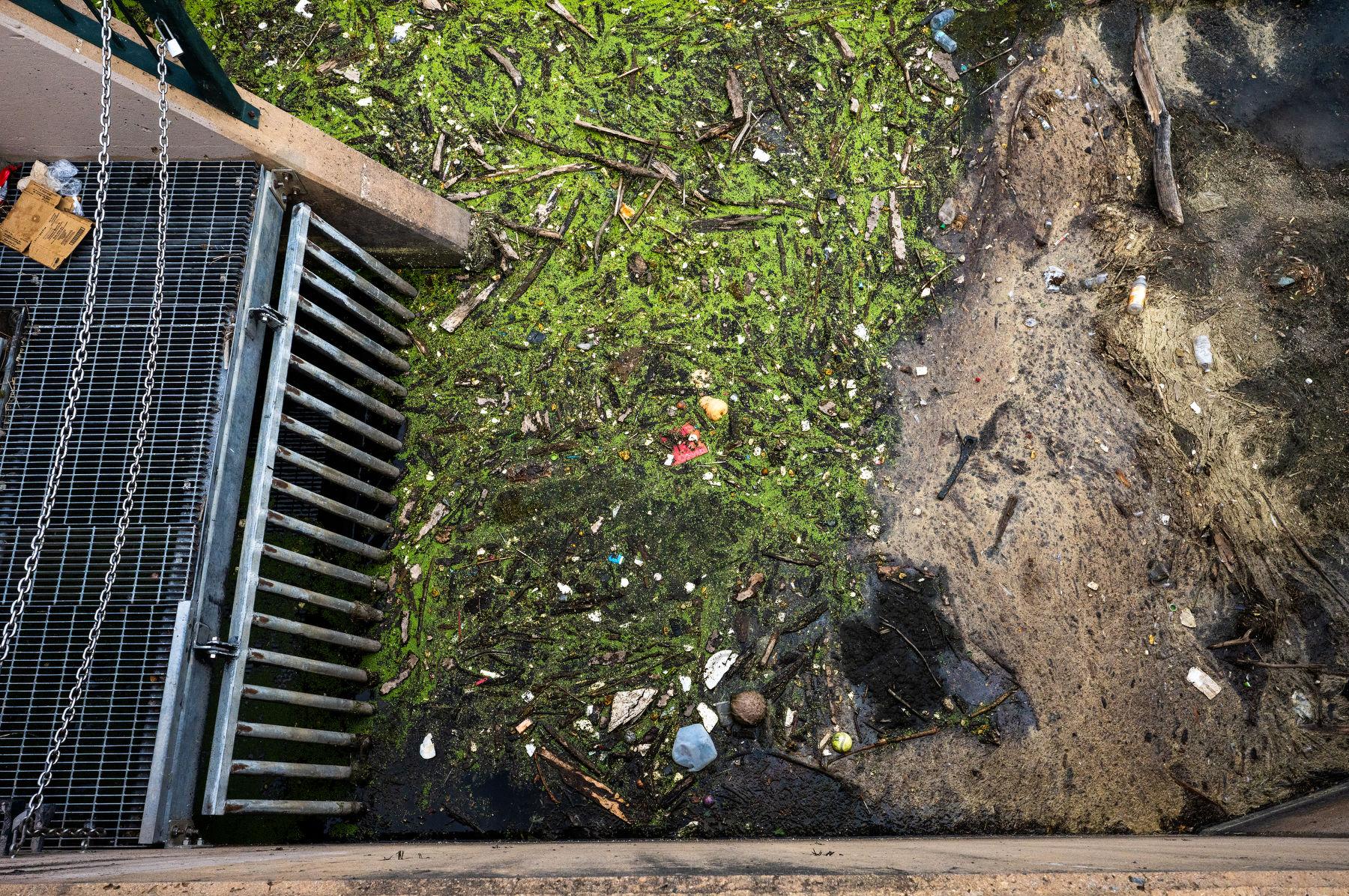 Garbage and other slop gathers in an eddy at Confluence Park