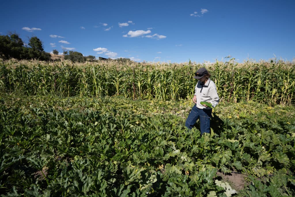FORT LEWIS COLLEGE OLD FORT FARM