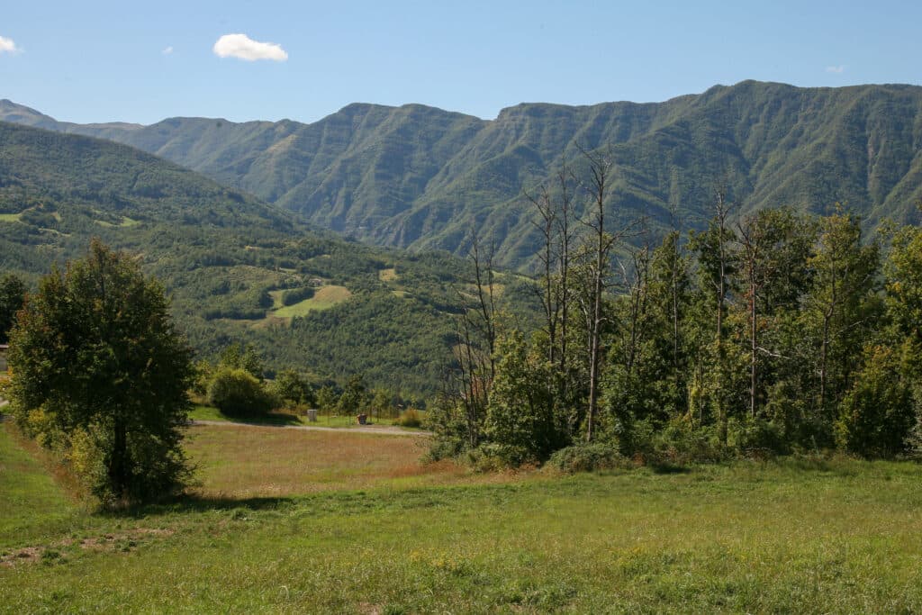 10th-mountain-division-italy-sieg-20250916