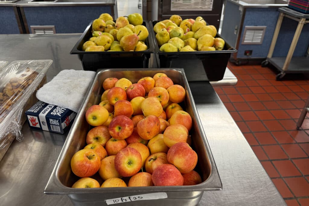 SCHOOL LUNCH PROPS MM LL