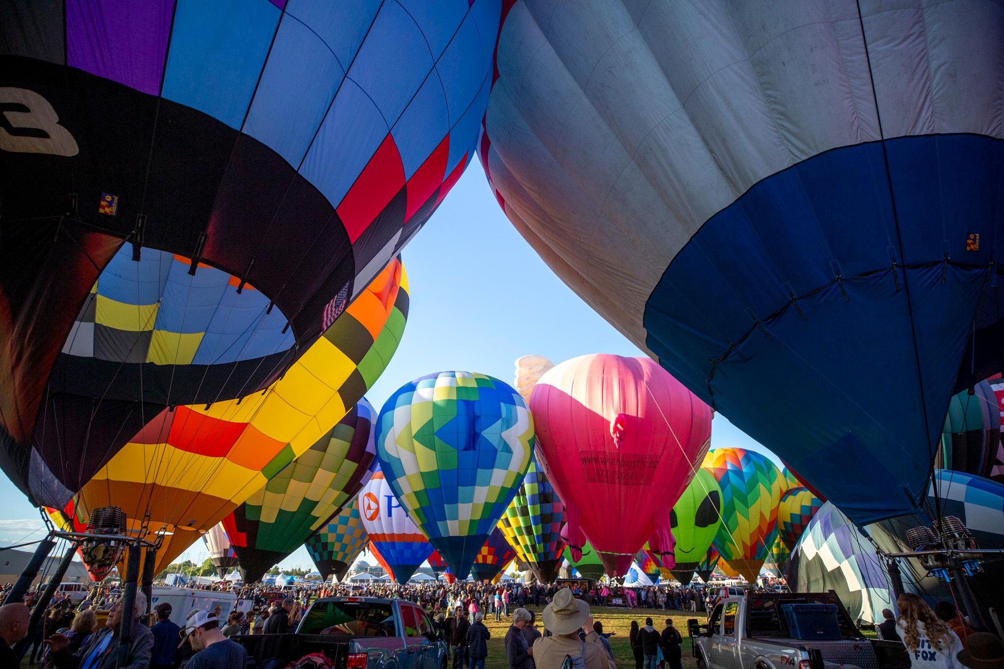 A large group of colorful hot air balloons are gathered in a field, with people standing around and admiring the display.