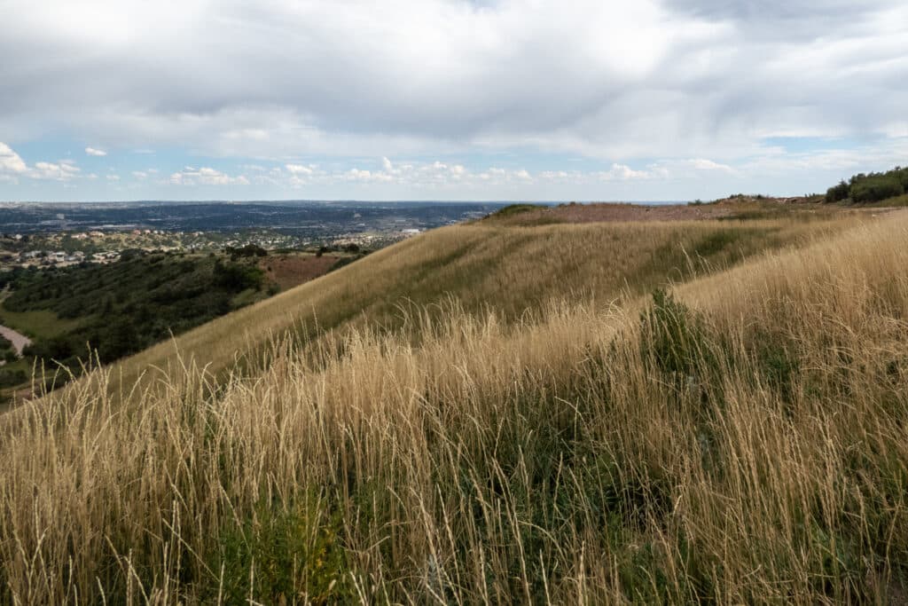 A large, grassy hill with a cloudy sky above. The hill is covered in tall, dry grass, and there are trees and suburban homes in the background.