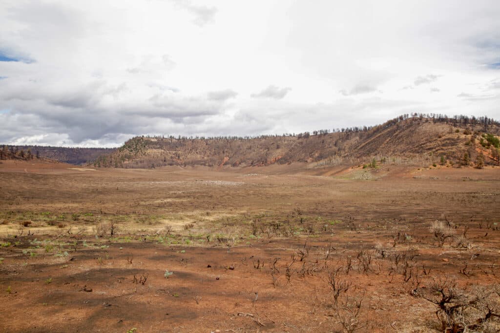 A wide angle photo of a western landscape burned by wildfire
