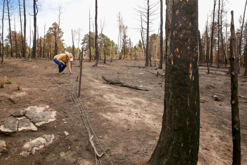 A woman in a cowboy hat crouches down to examine destroyed fencing amid a fire ravaged landscape.