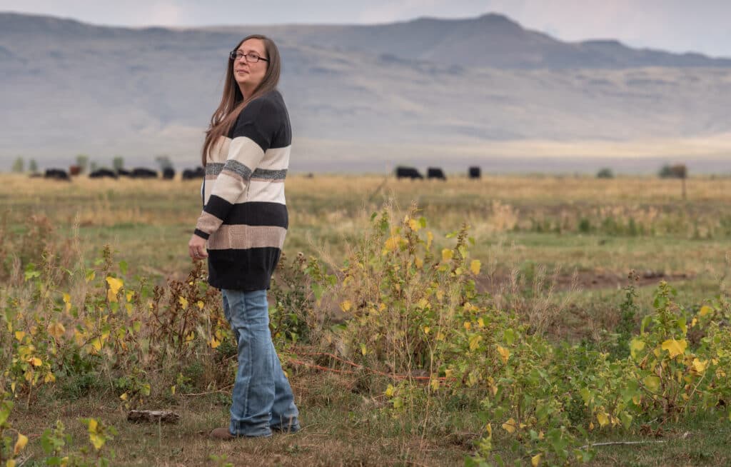 A person is standing in a field wearing a striped sweater and blue jeans.