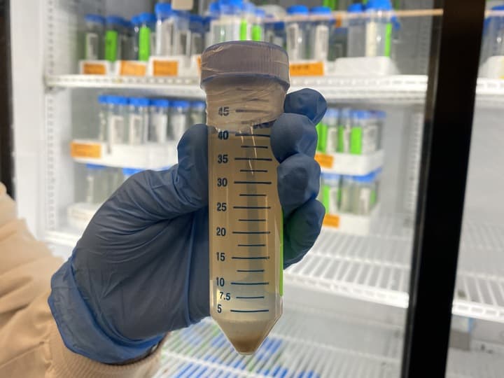 A person is holding a vial of liquid in a laboratory setting. The vial is filled with a yellow substance and is placed in front of a refrigerator. The person is wearing gloves, indicating that they are handling the substance carefully. The scene suggests that the person might be conducting a scientific experiment or analyzing the contents of the vial.