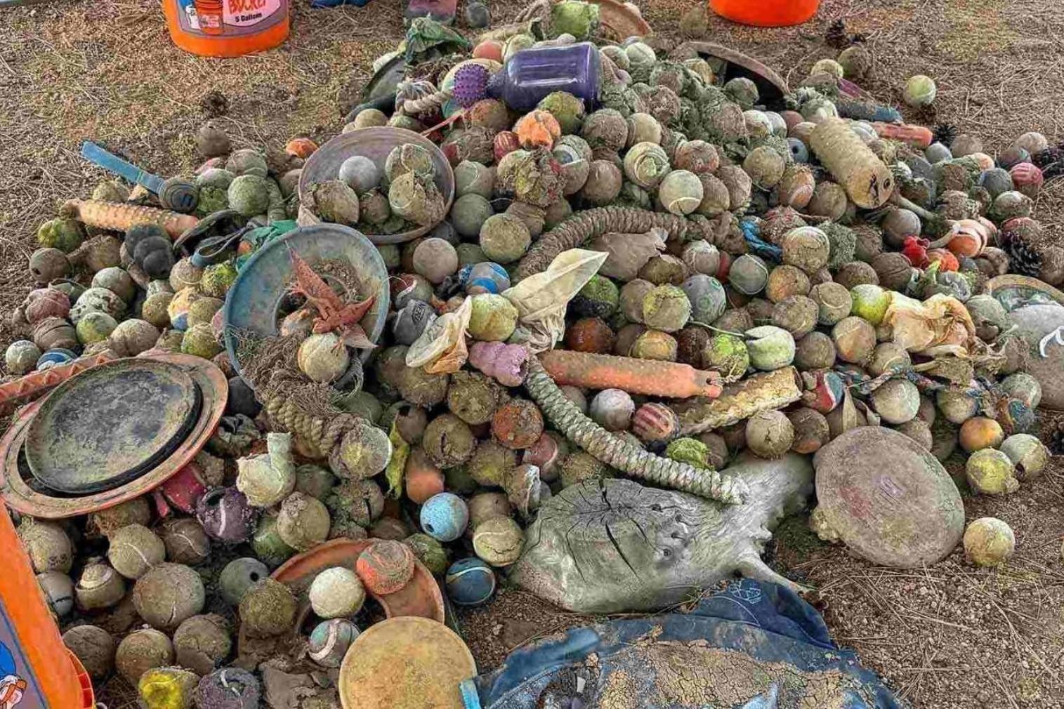 a pile of dirty old dog toys like balls, bumpers and ropes