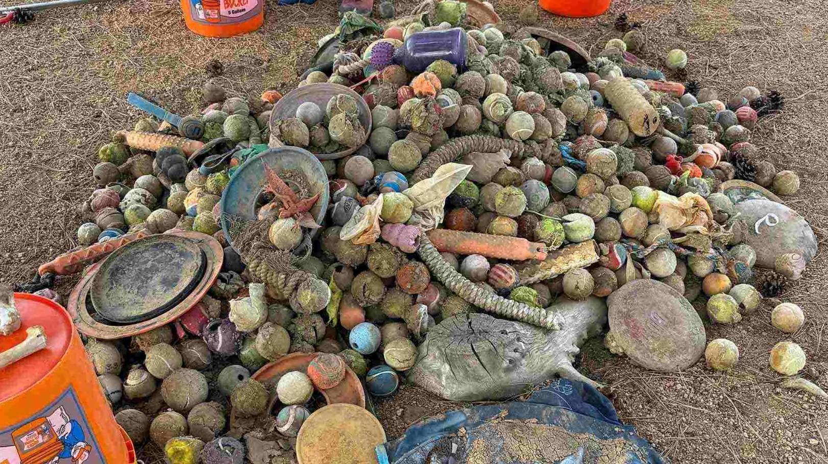 a pile of dirty old dog toys like balls, bumpers and ropes