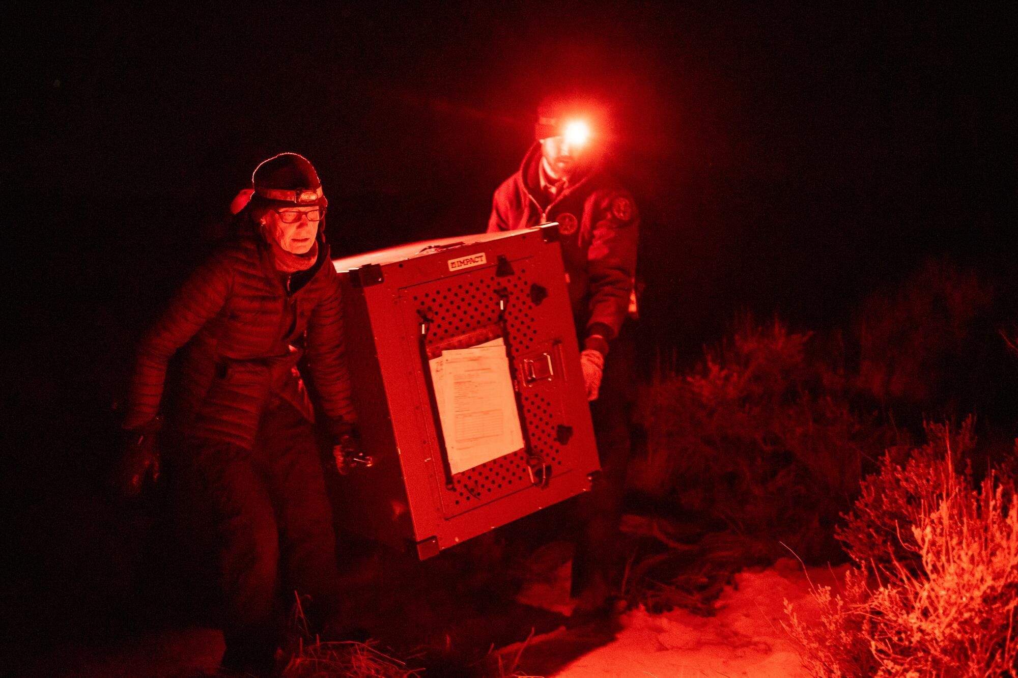 Two people wearing headlamps in the dark carry a large crate.