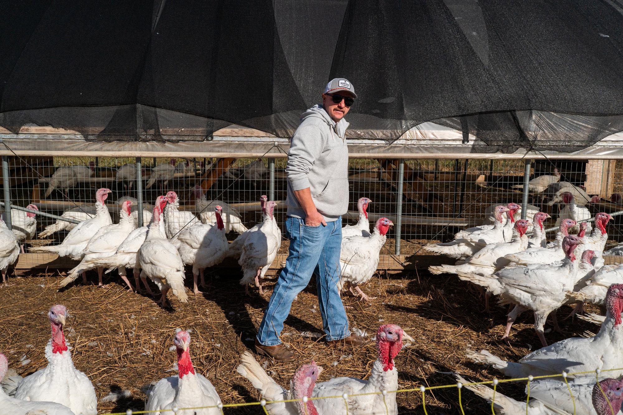 Aaron Rice in the turkey pasture at Jodar Farms in Fort Collins