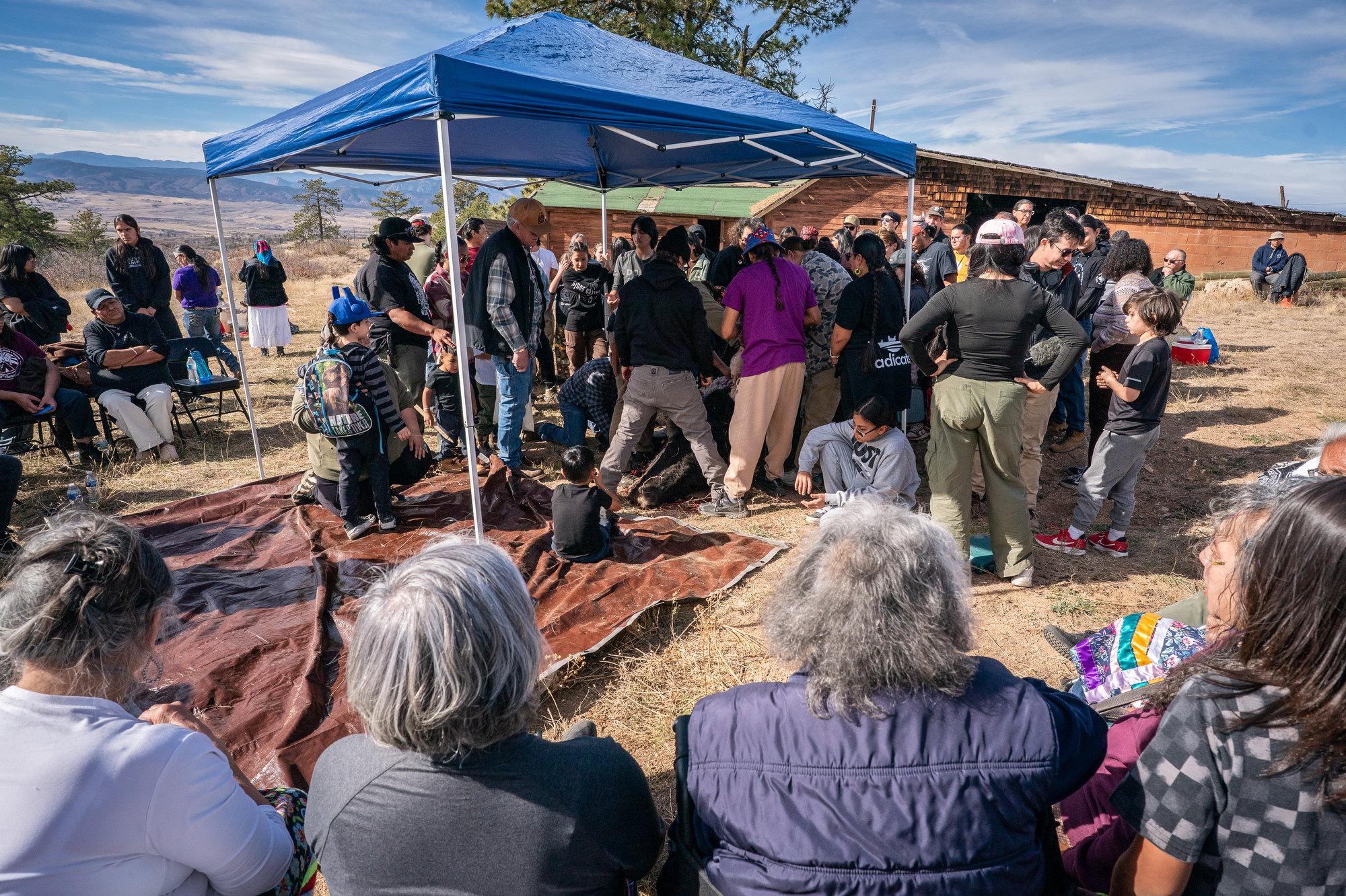 TALLBULL-BUFFALO-CEREMONY
