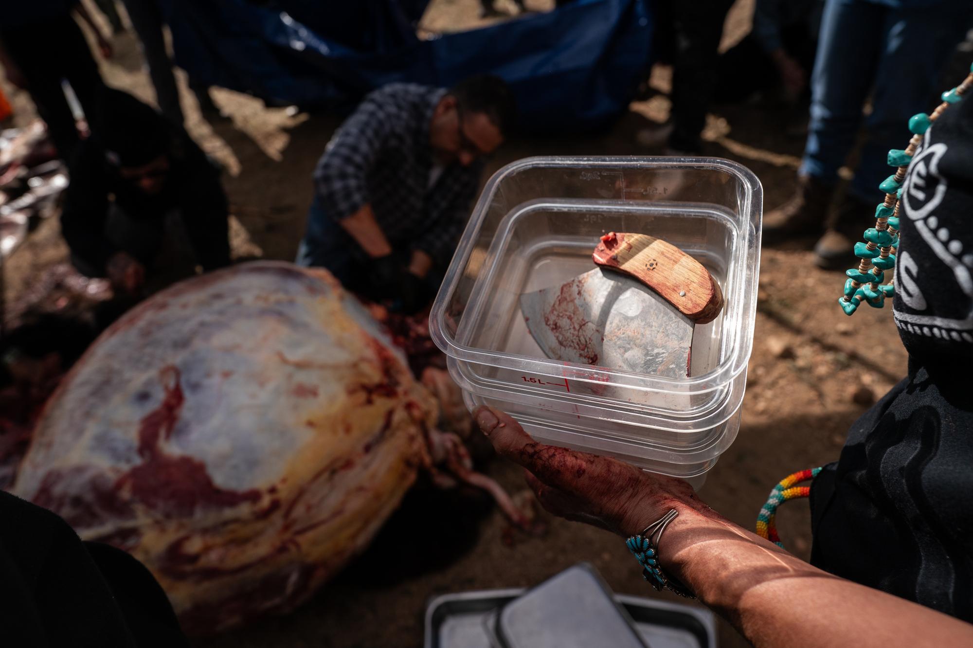 TALLBULL-BUFFALO-CEREMONY