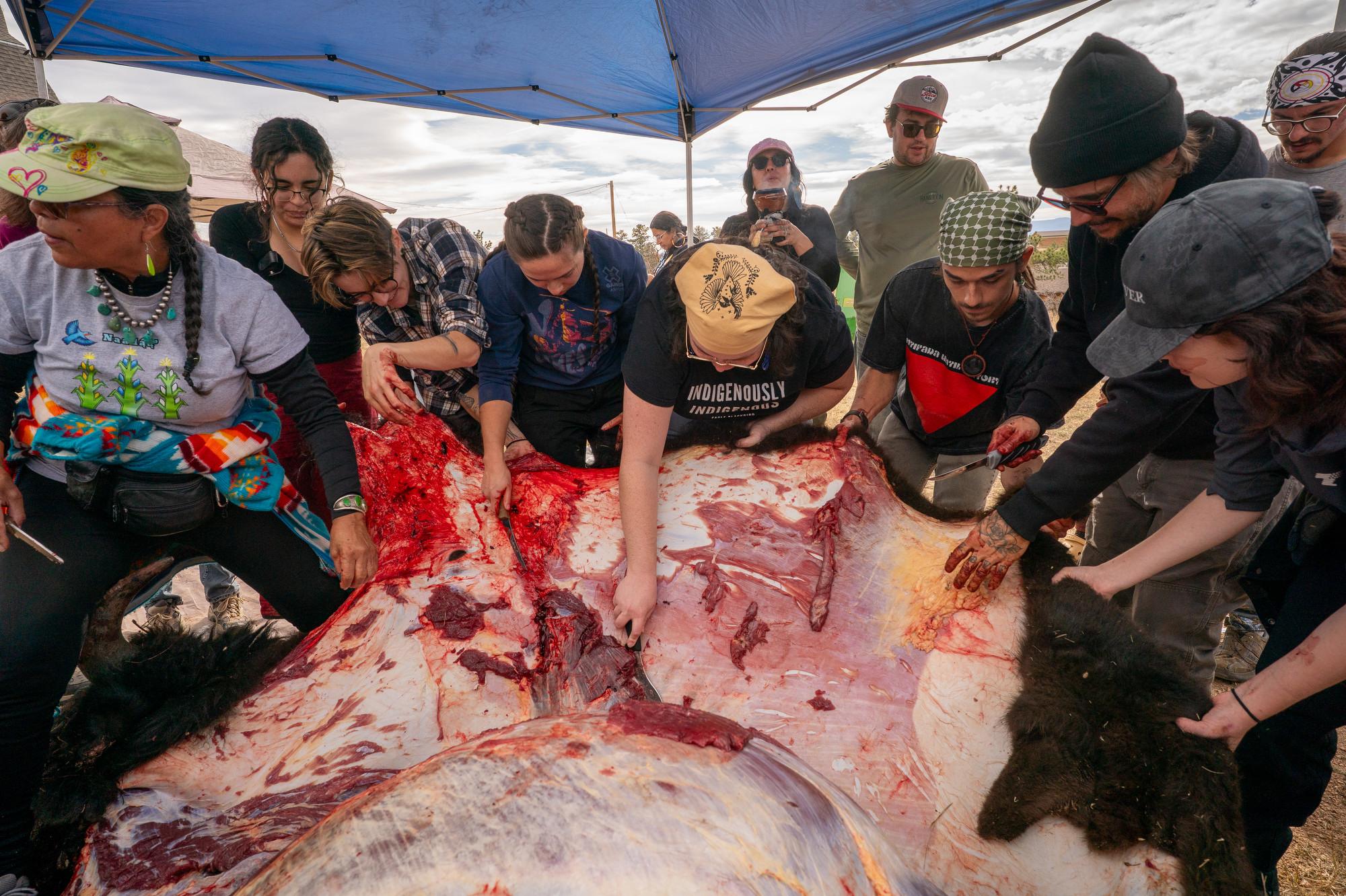 TALLBULL-BUFFALO-CEREMONY