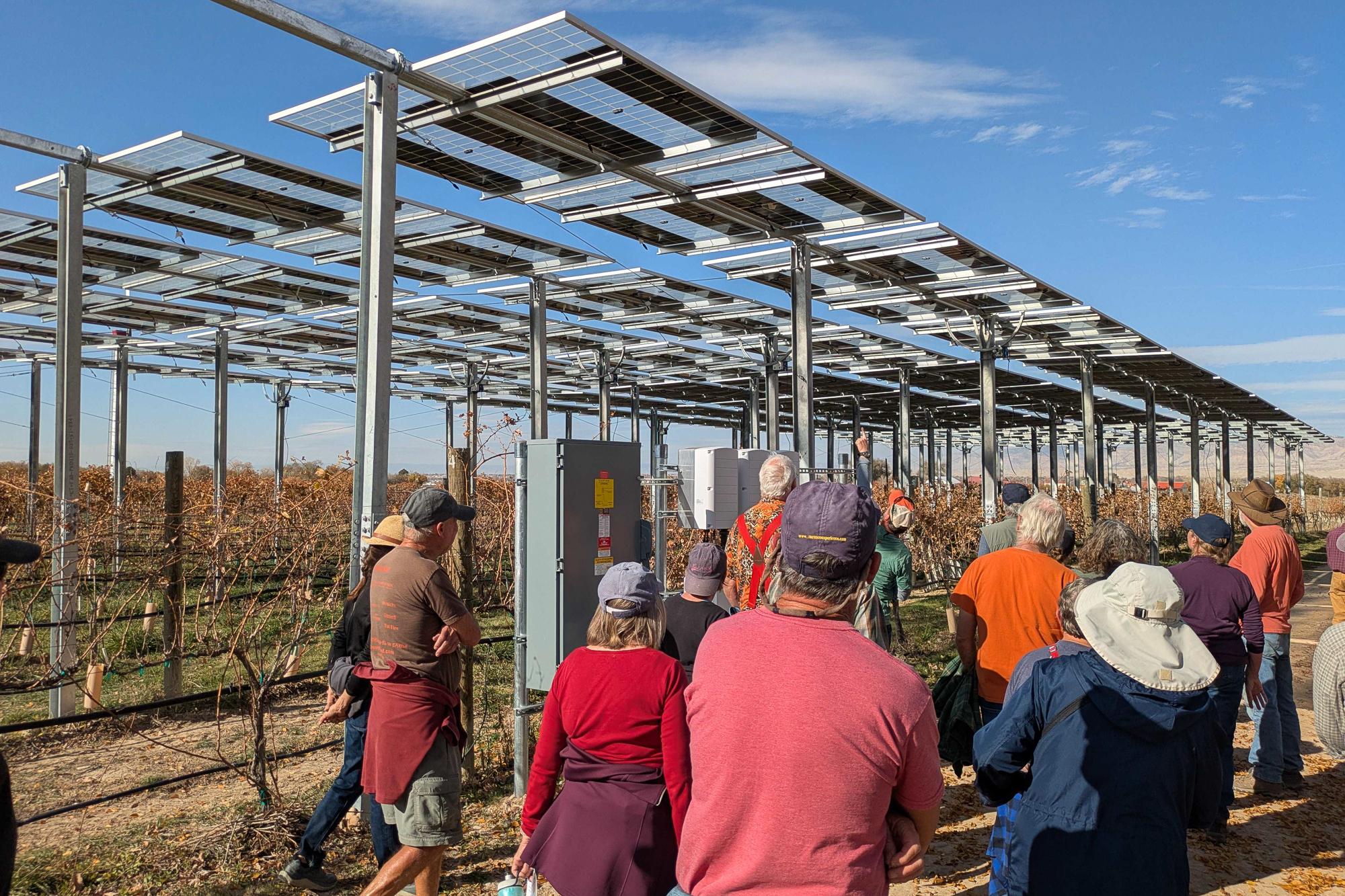 A few dozen onlookers listen to a presentation about solar energy in farming as they tour a solar installation that's installed 15 feet above a vineyard.