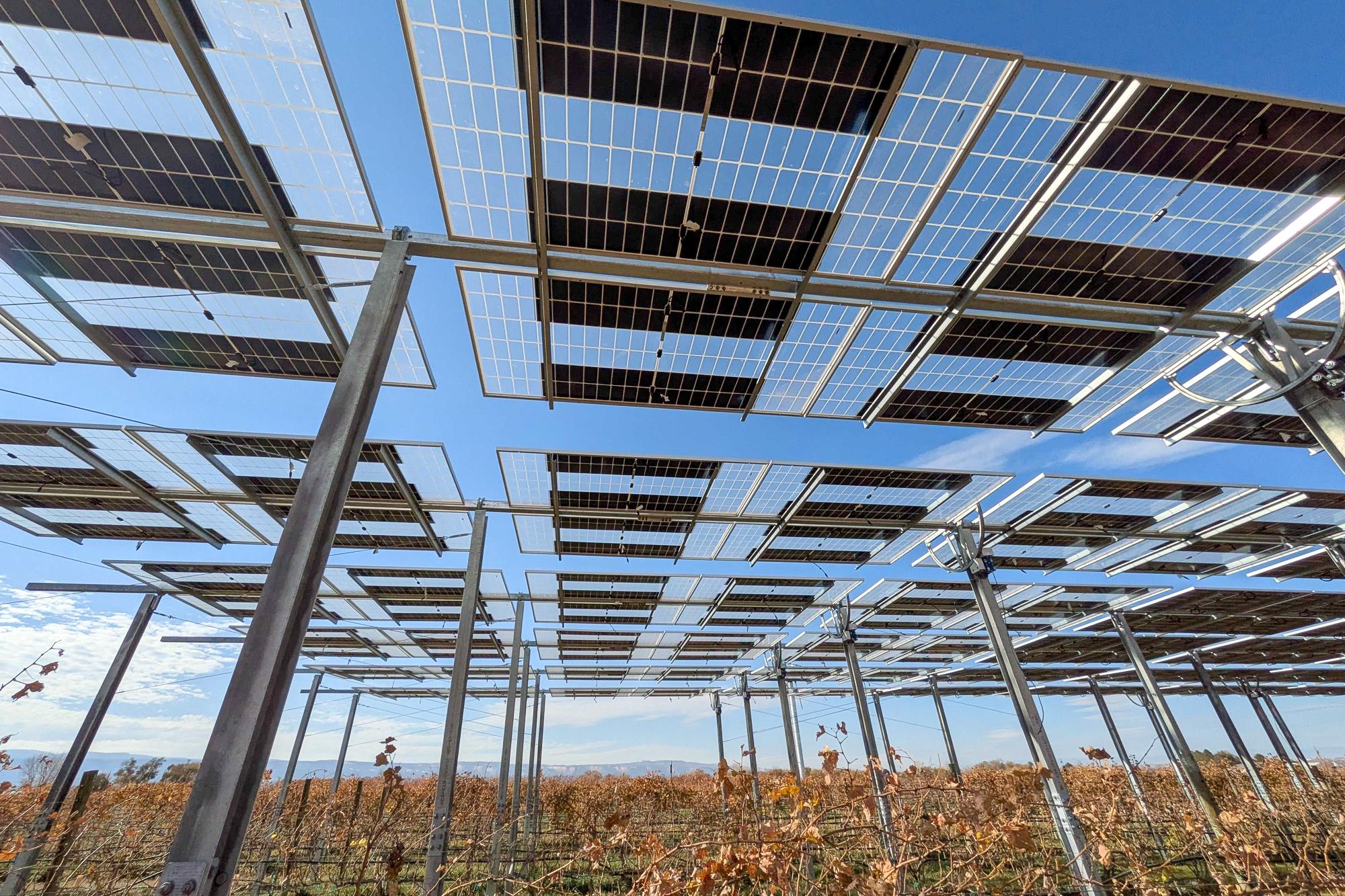 Several rows of dormant wine grape vines are covered by a solar panel apparatus elevated above the vineyard by galvanized steel beams. The display has alternating black and clear panels for different levels of energy production.