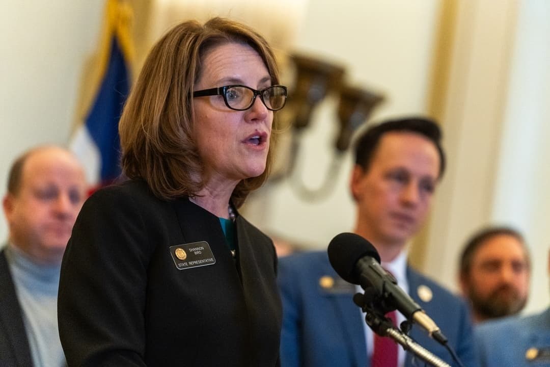 State Rep. Shannon Bird, D-Westminster