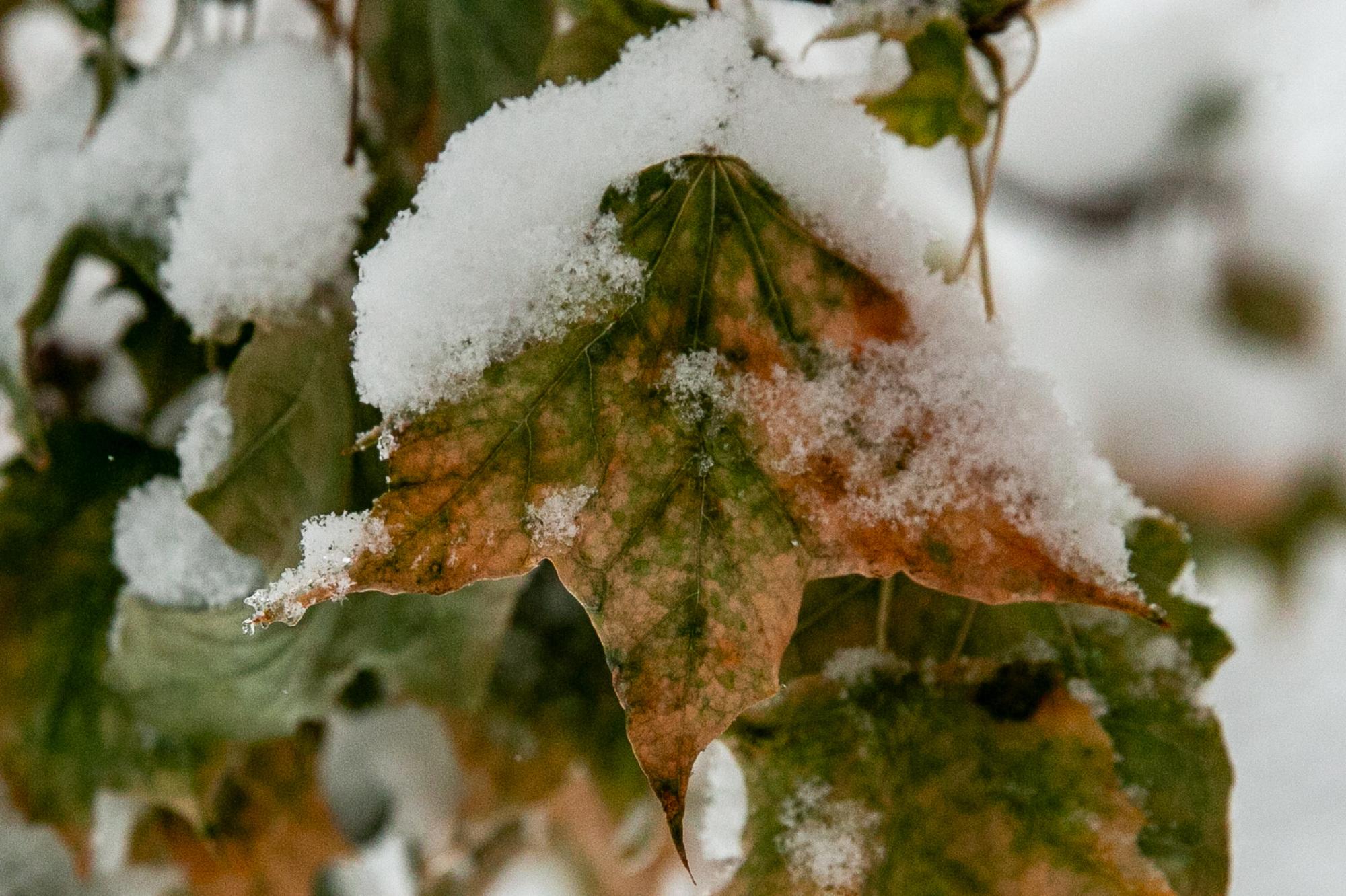 20251203-snow-winter-weather-denver