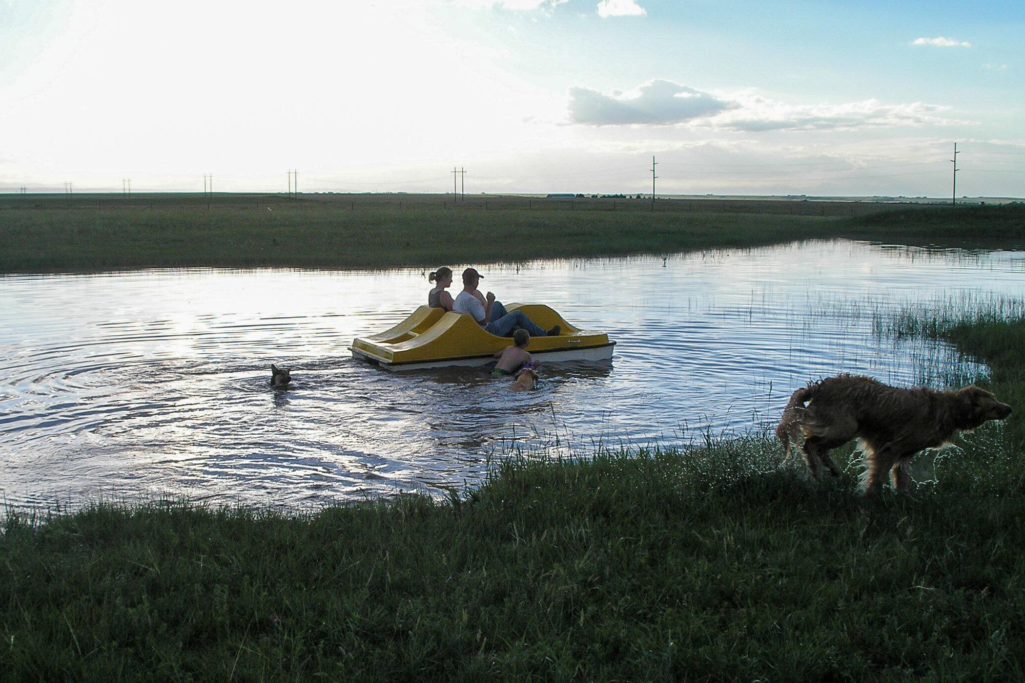 two adults sit in a yellow pedal boat on a small pond while a child swims behind it. A dog splashes through the water nearby as another dog runs along the grassy shore, with open prairie and a cloudy sky in the background.
