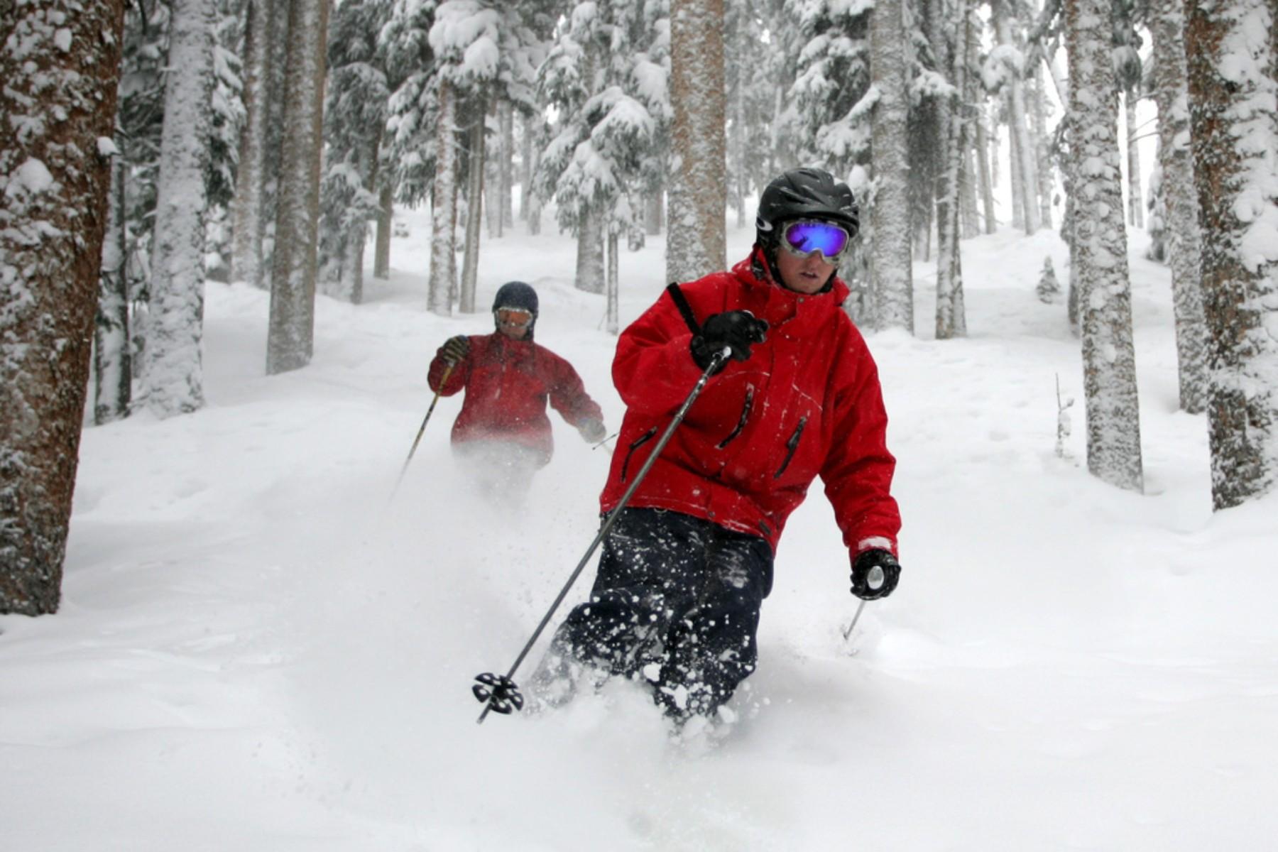 two skiers between trees