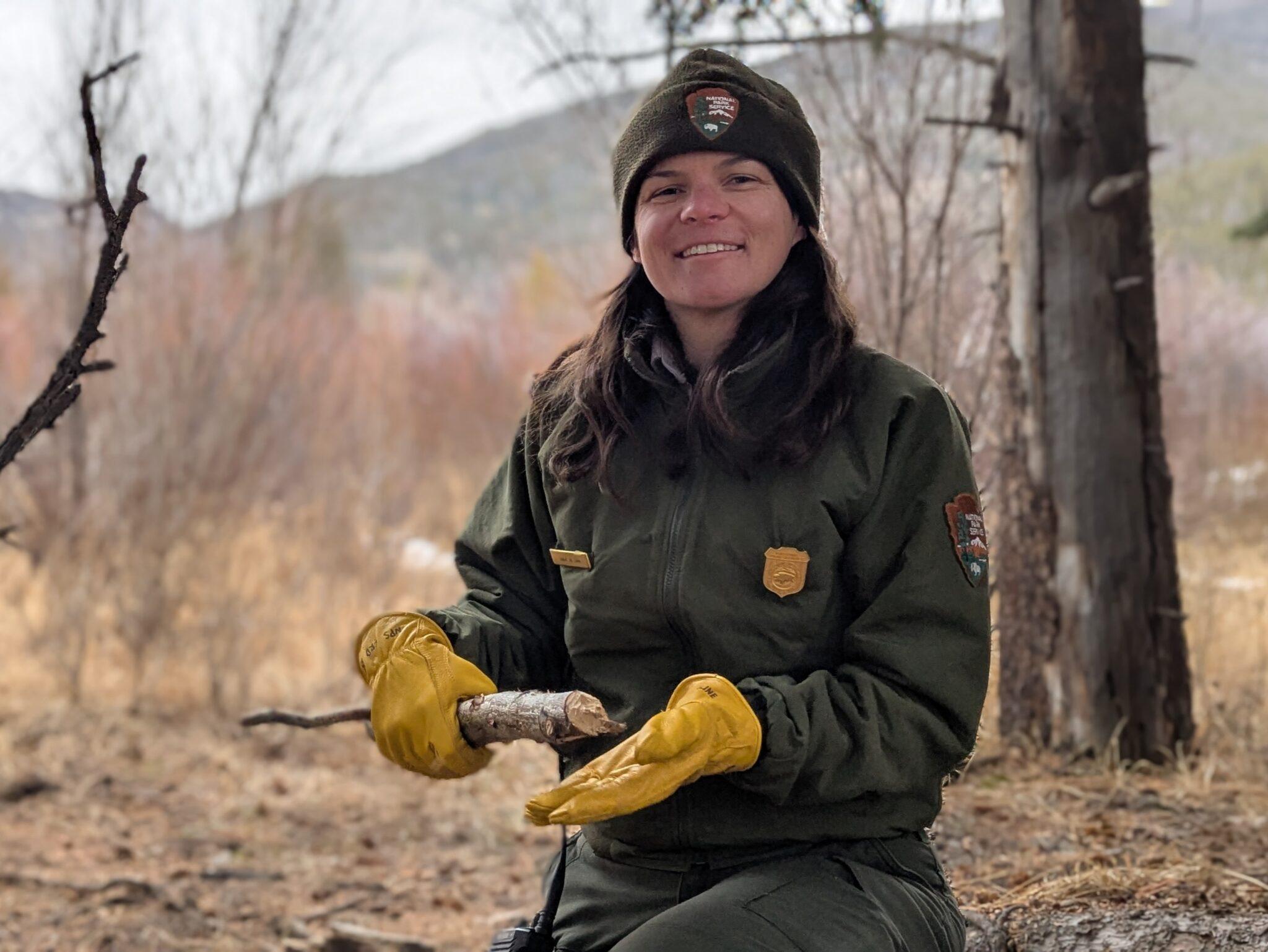 A park ecologist holds a beaver-chewed stick