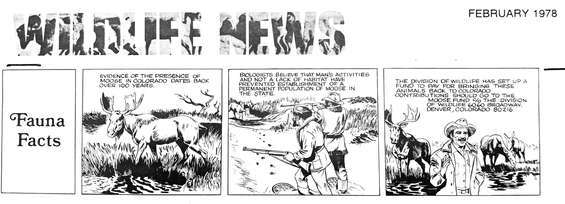 A cartoon on moose reintroduction