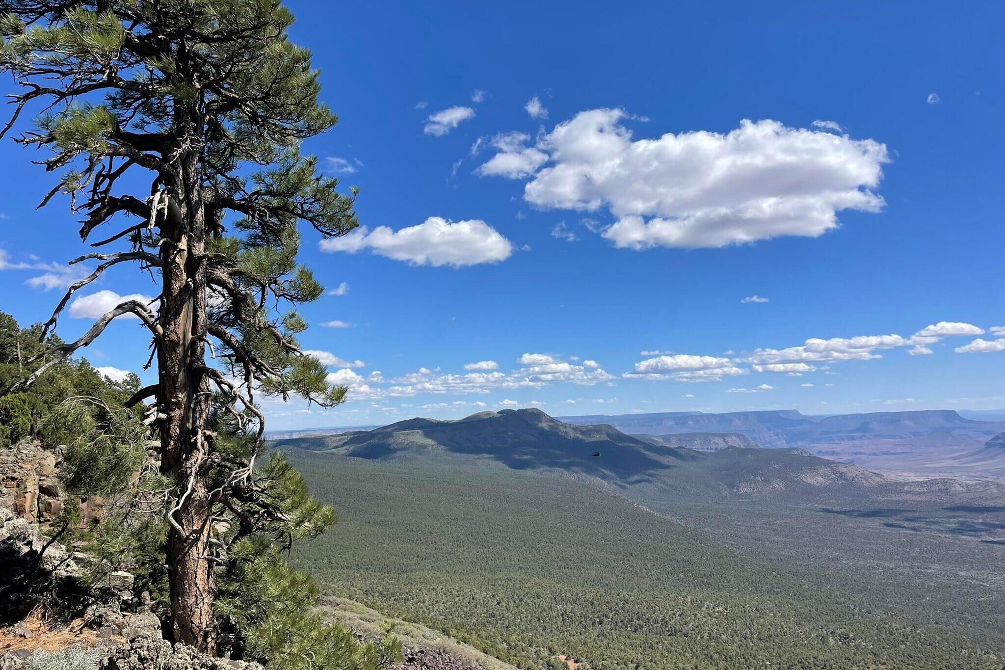 An image showing the landscape near Mount Trumbull.
