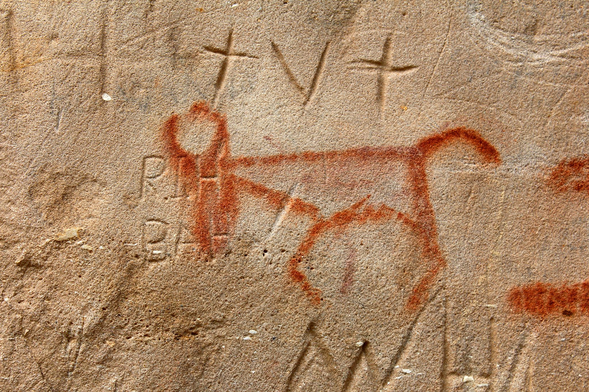 stylized line drawing in red pigment on a rock wall of a bison. words are also carved on and around the image, that is likely vandalism from another time
