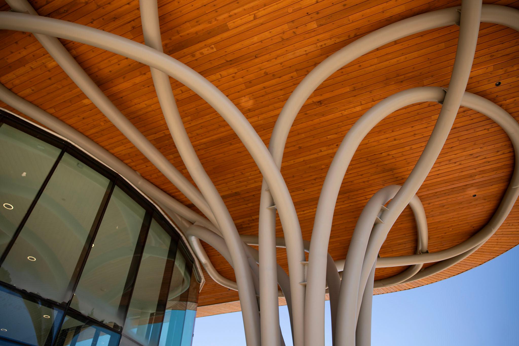 Bright wood stretches over a the glass windows of a building. Curved pipes, which kind of look like tree branches, rise up beneath it.